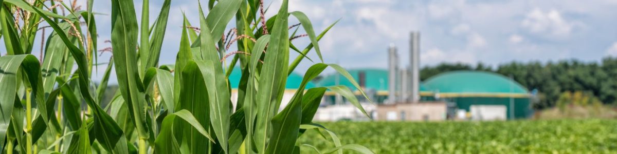 12. Whatwedo_breaker